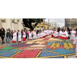 Tapetes de Corpus Christi unem tradição e fé em Campo Largo